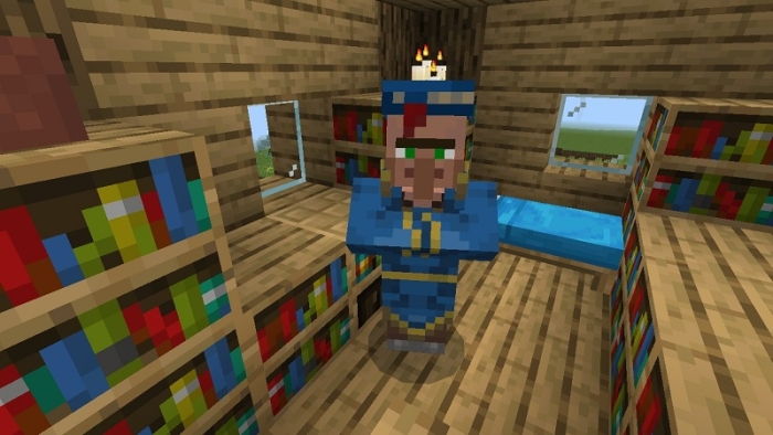 Villager in wizard outfit among bookshelves.