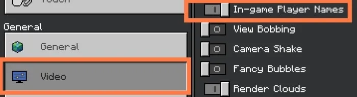 In-Game Player Names