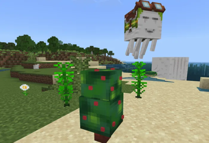 Raspberry Bush