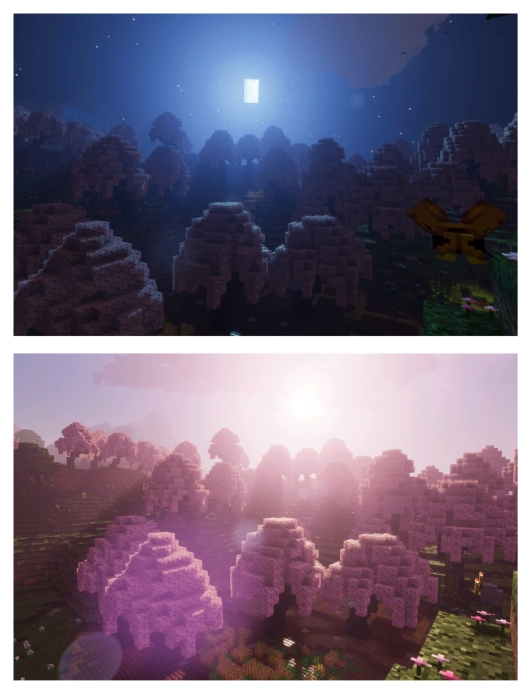 Top Night forest scene. Bottom Daylight forest.