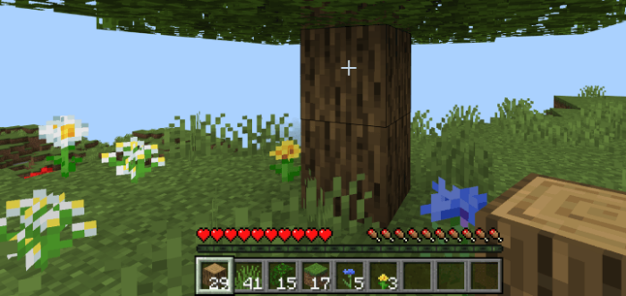 MC But You Get Any Block You Look At screenshot №1