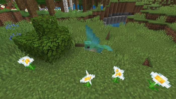 Hummingbird