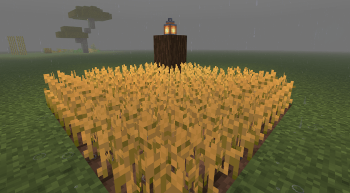 La Nature by Carrot screenshot №43