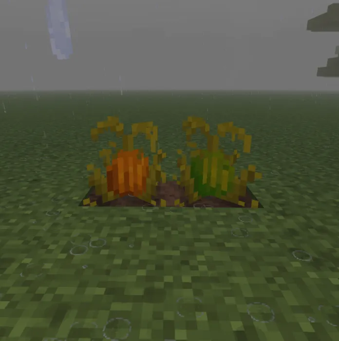 La Nature by Carrot screenshot №39