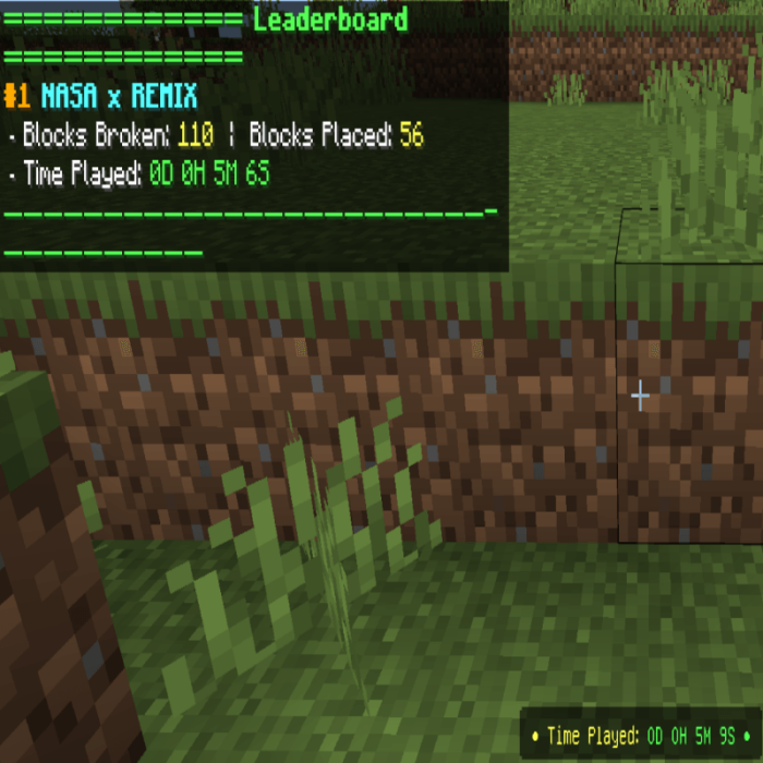 Leaderboard stats blocks and playtime.