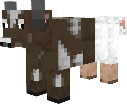 Bizarre cow-sheep hybrid creature.