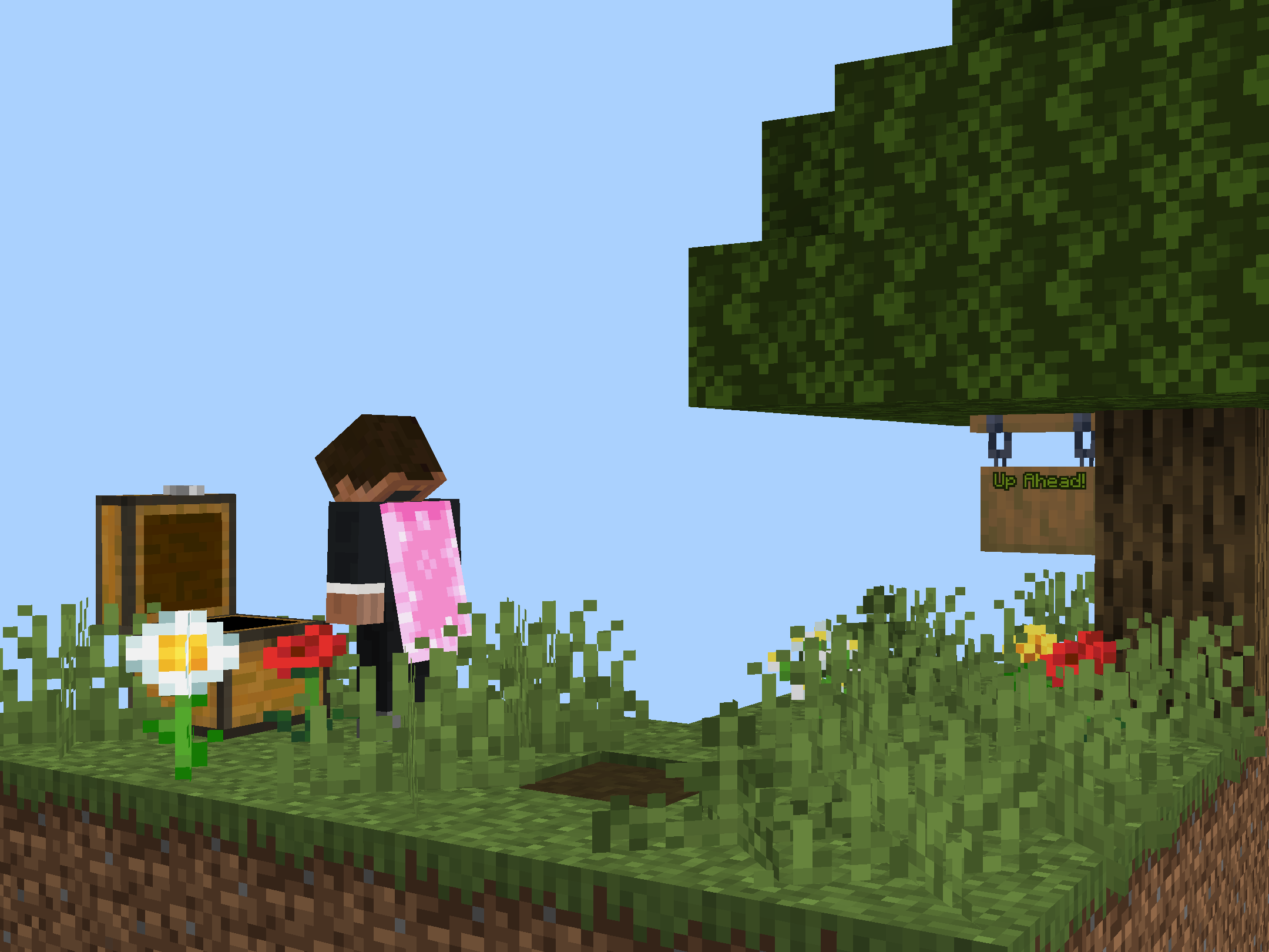 Minecraft Skyblock screenshot 4