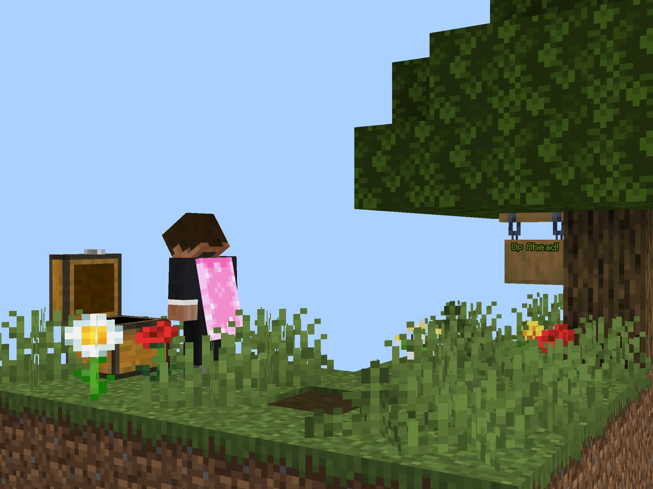 Minecraft Skyblock screenshot 4