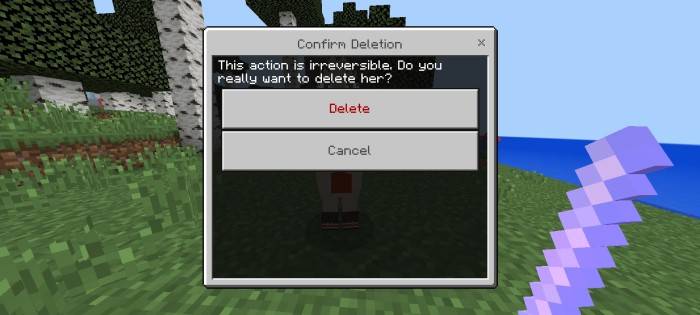 Confirmation prompt to delete a character.