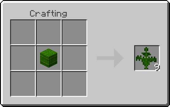 Fern Recipe