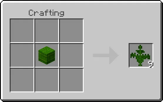 Fern Recipe
