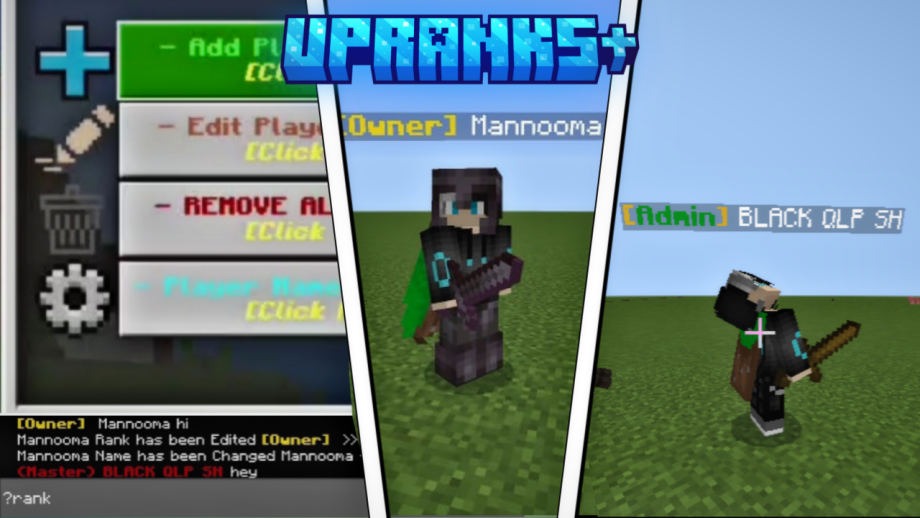 Thumbnail: UpRanks+