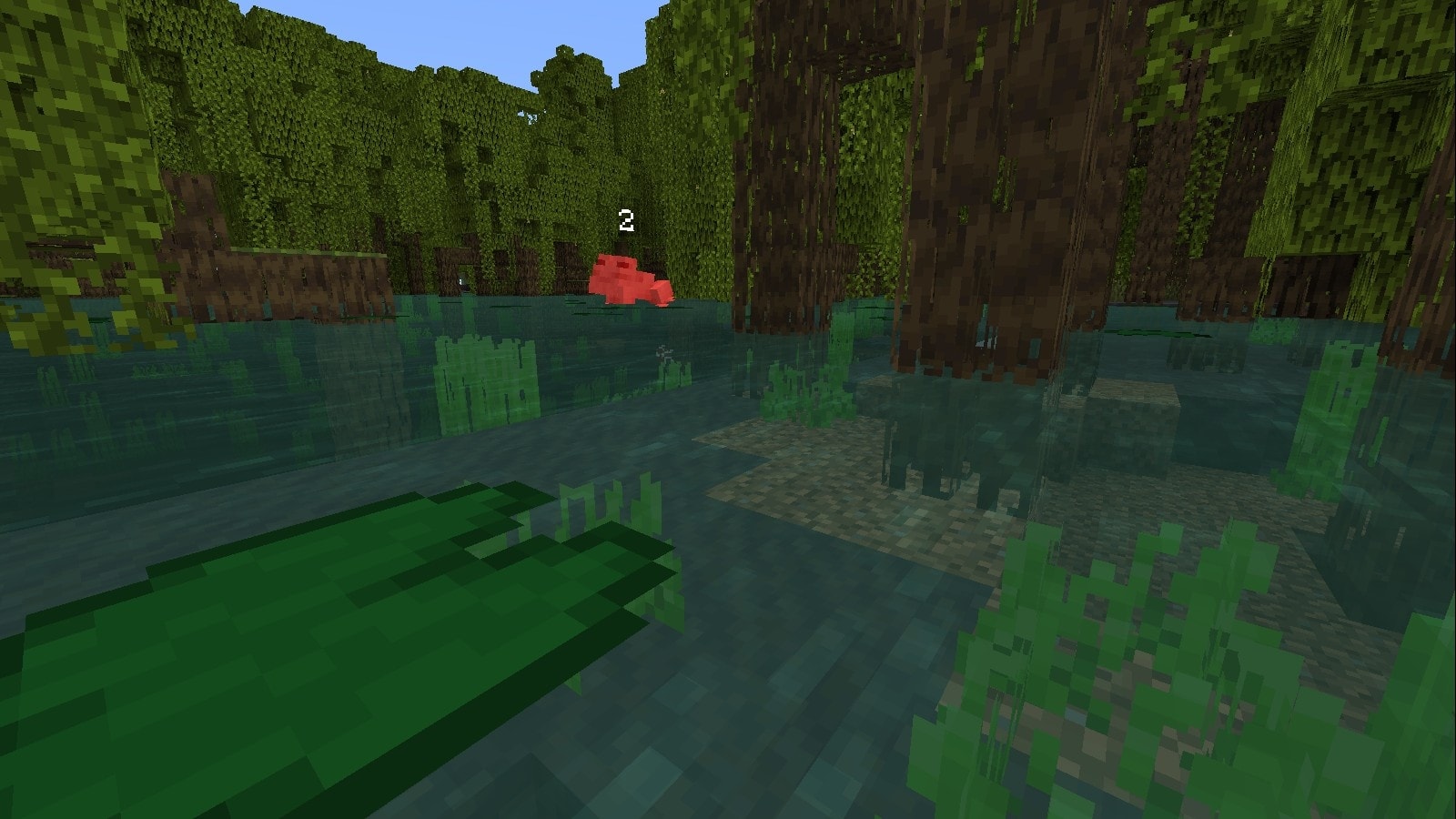 Frog