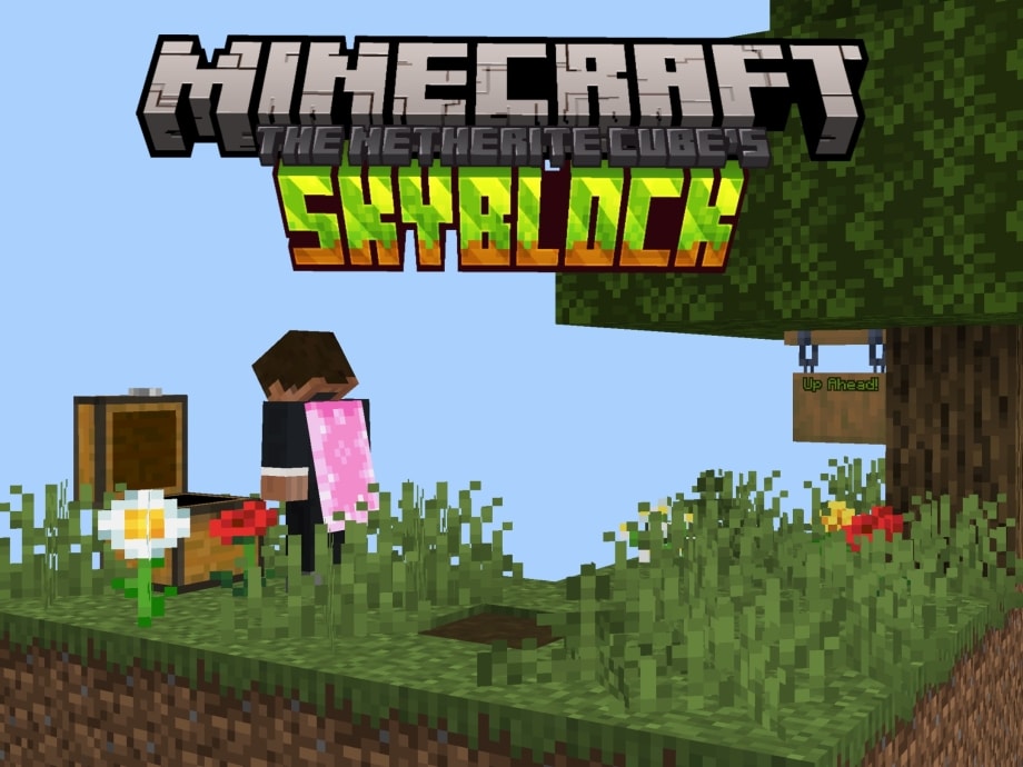 Thumbnail: Netherite Cube’s Minecraft Skyblock