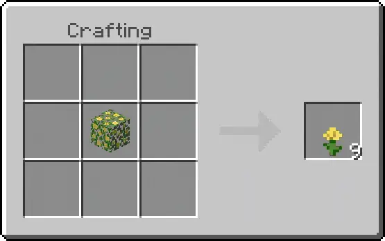 Flowers Recipe