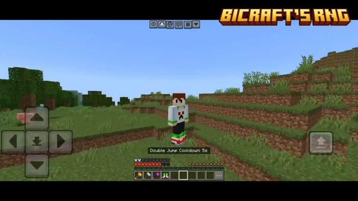 Player in-game with RNG mod interface.