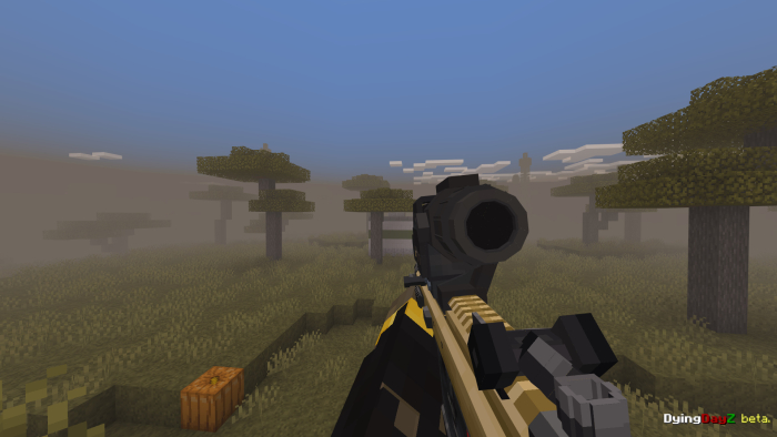 First-person view with a gun in-game.