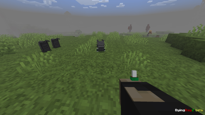 First-person view in grassy terrain.