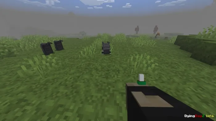 First-person view in grassy terrain.