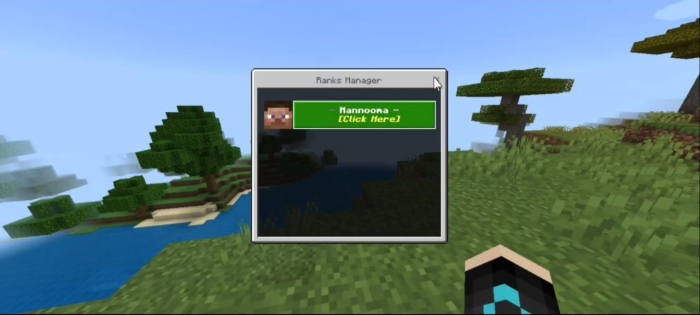Rank manager screen in a game landscape.