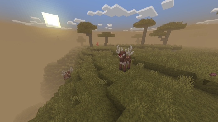 Deer on grassy hill at sunrise.