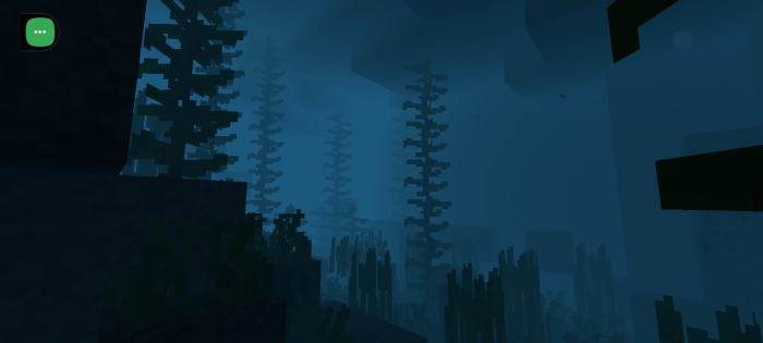 Foggy forest with tall, eerie trees.