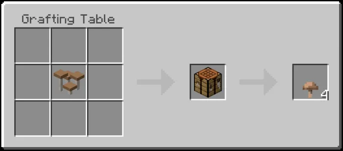 Brown Mushroom Recipe