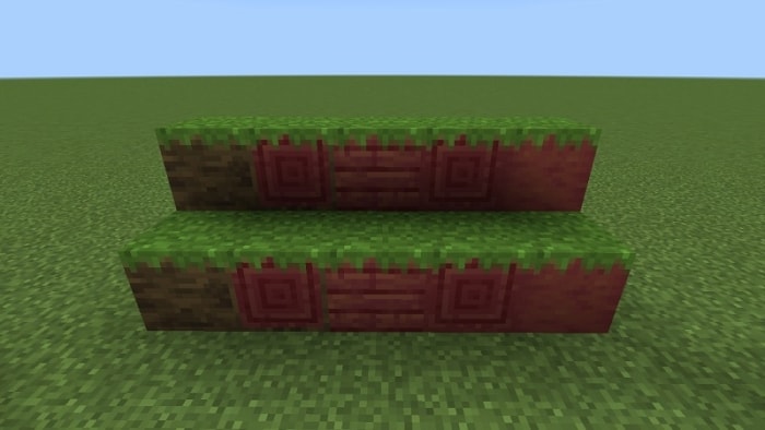 Grassed Mangrove Log