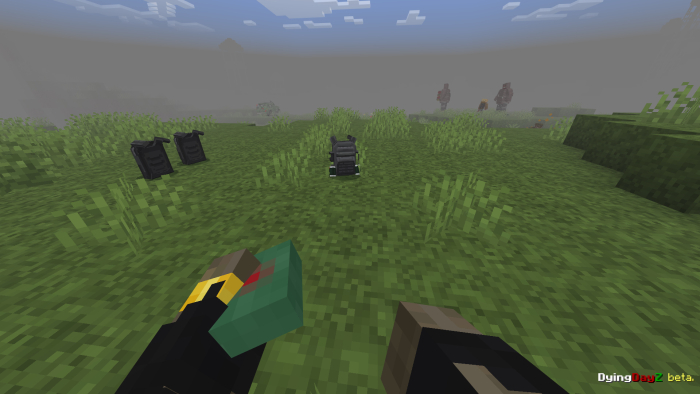 First-person view in a grassy field.