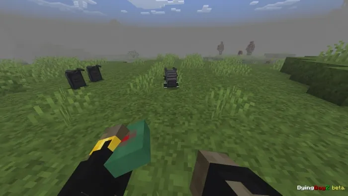 First-person view in a grassy field.