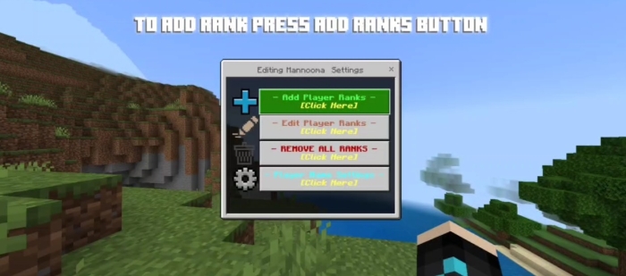 Rank settings menu on game screen.