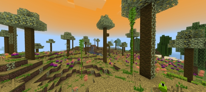 Custom Biome
