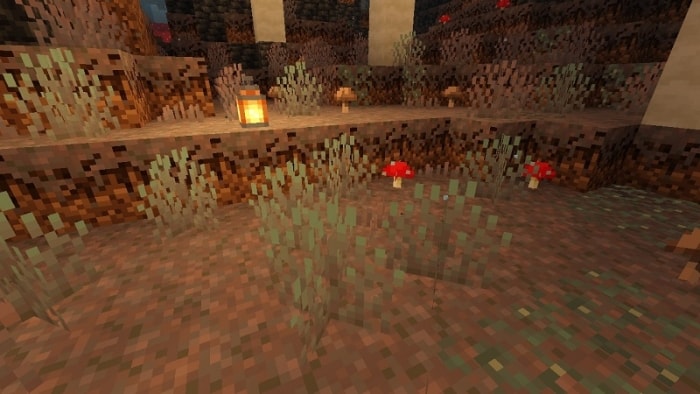 Glowcelium Sprouts Vegetation