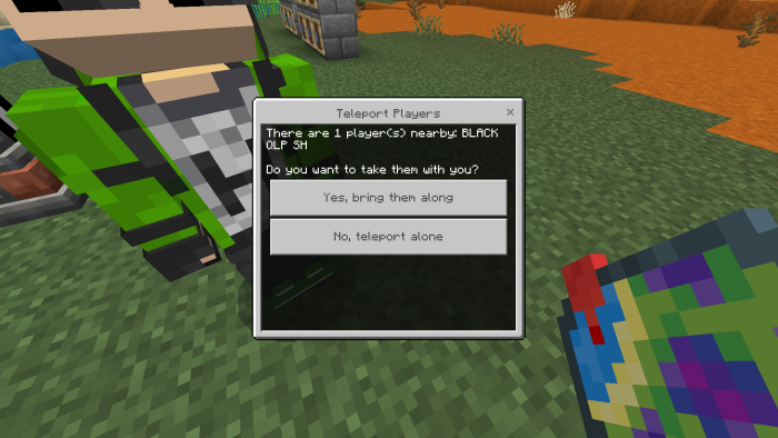 Teleportation menu with two options.