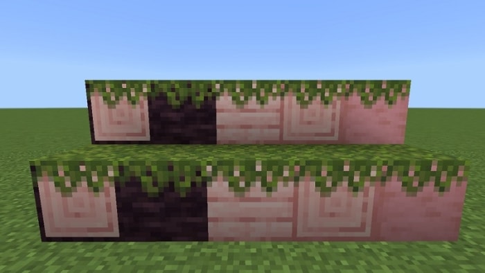 Mossed Cherry Log