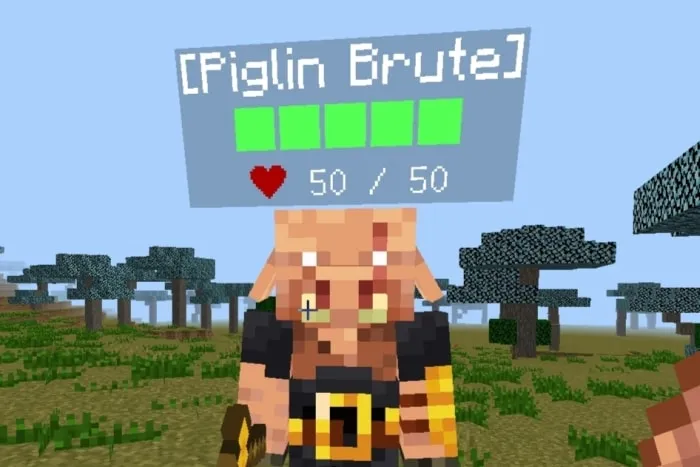 Health bar displayed above Piglin Brute