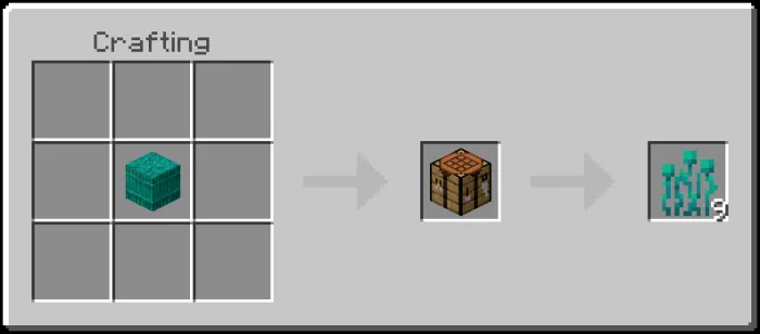Warped Roots Recipe