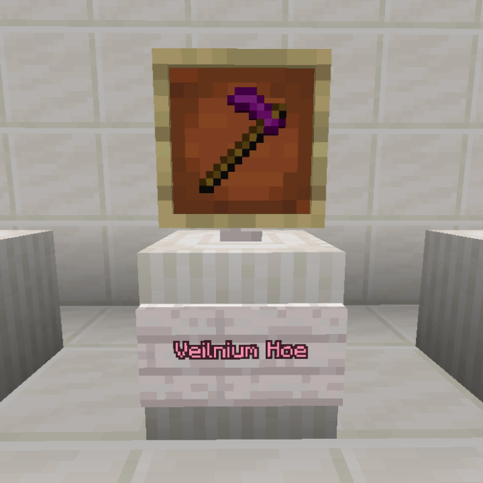 Veilnium Hoe in item frame display.