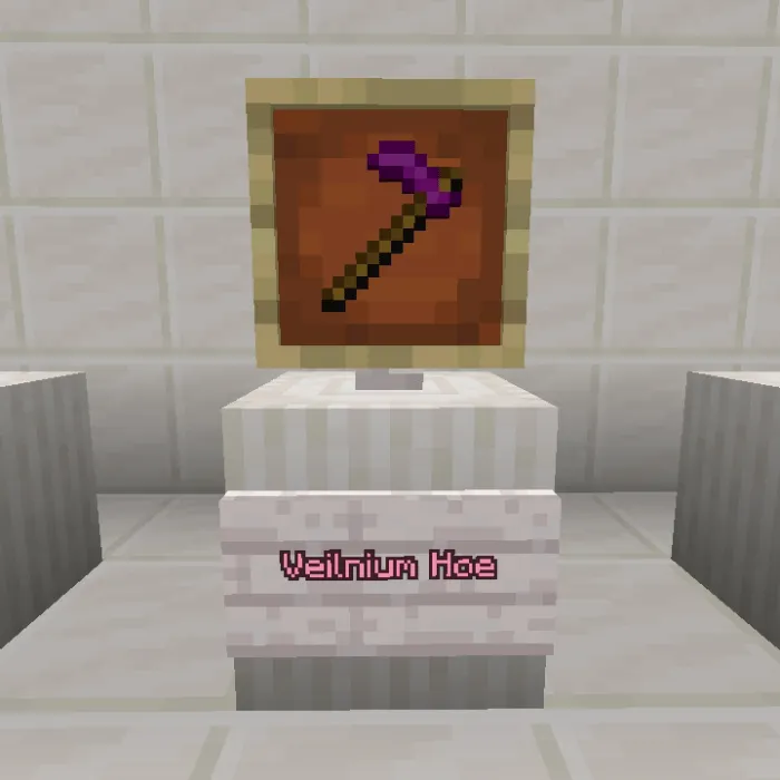 Veilnium Hoe in item frame display.