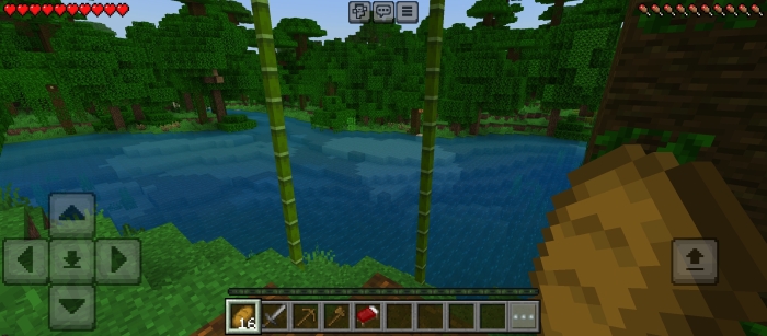 Player view with starter gear equipped.