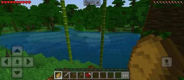 Player view with starter gear equipped.
