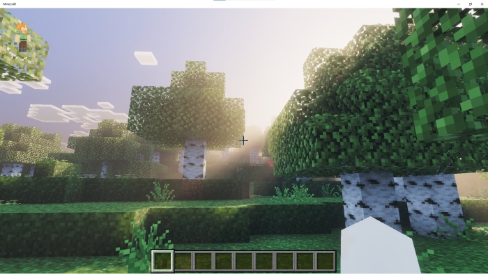 Sunlit forest with realistic textures.