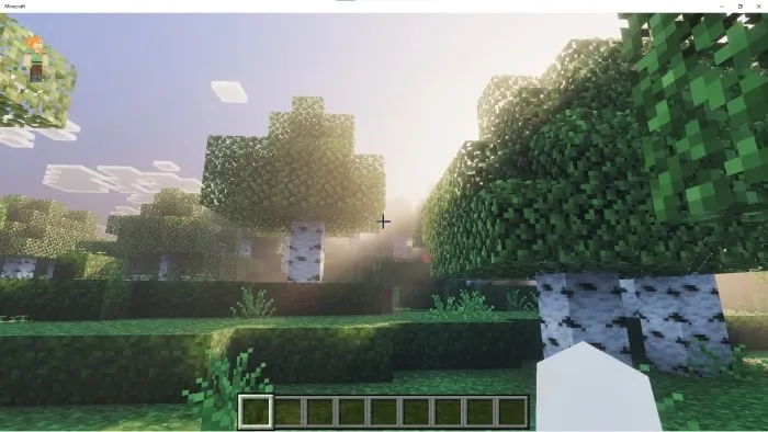 Sunlit forest with realistic textures.