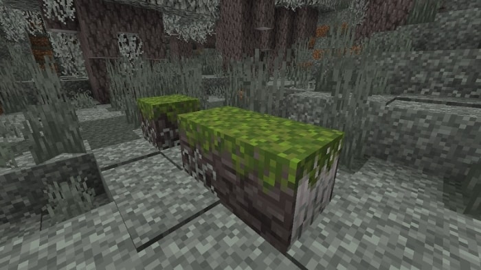 Mossed Pale Oak Log