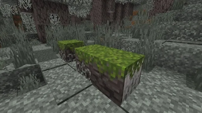 Mossed Pale Oak Log
