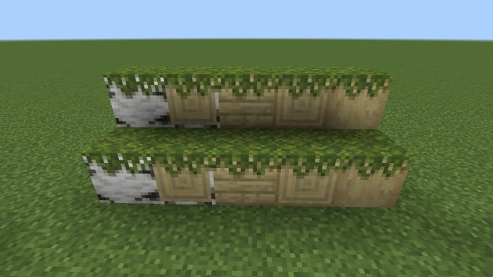Mossed Birch Log