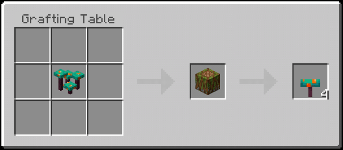 Warped Fungus Recipe