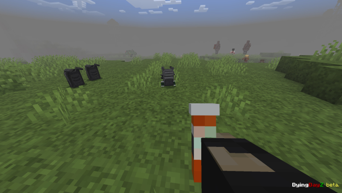 First-person view with gun and backpacks.