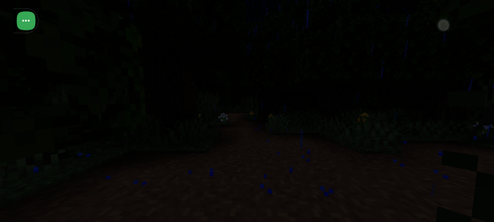 Dark forest path in the rain.