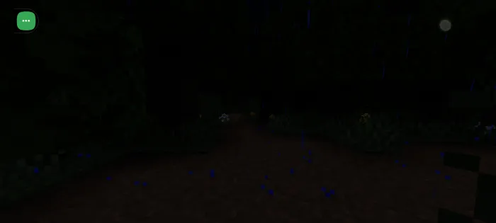 Dark forest path in the rain.